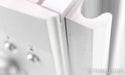Red Rose Music Rosette 1 Stereo Integrated Amplifier; Silver; AS-IS (No Speaker Output)