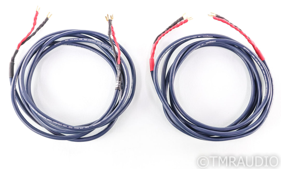 AudioQuest Type 4 Speaker Cables; 12ft Pair