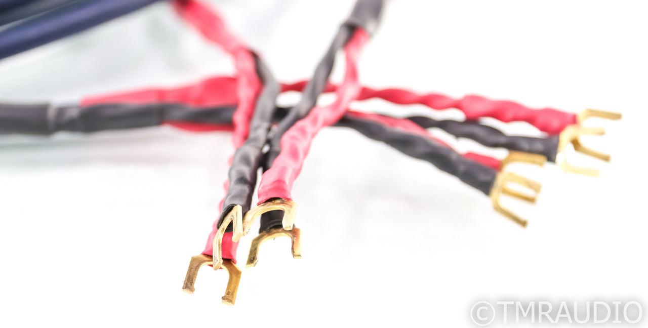 AudioQuest Type 4 Speaker Cables; 12ft Pair