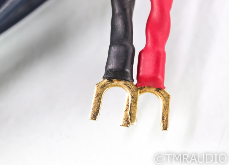 AudioQuest Type 4 Speaker Cables; 12ft Pair