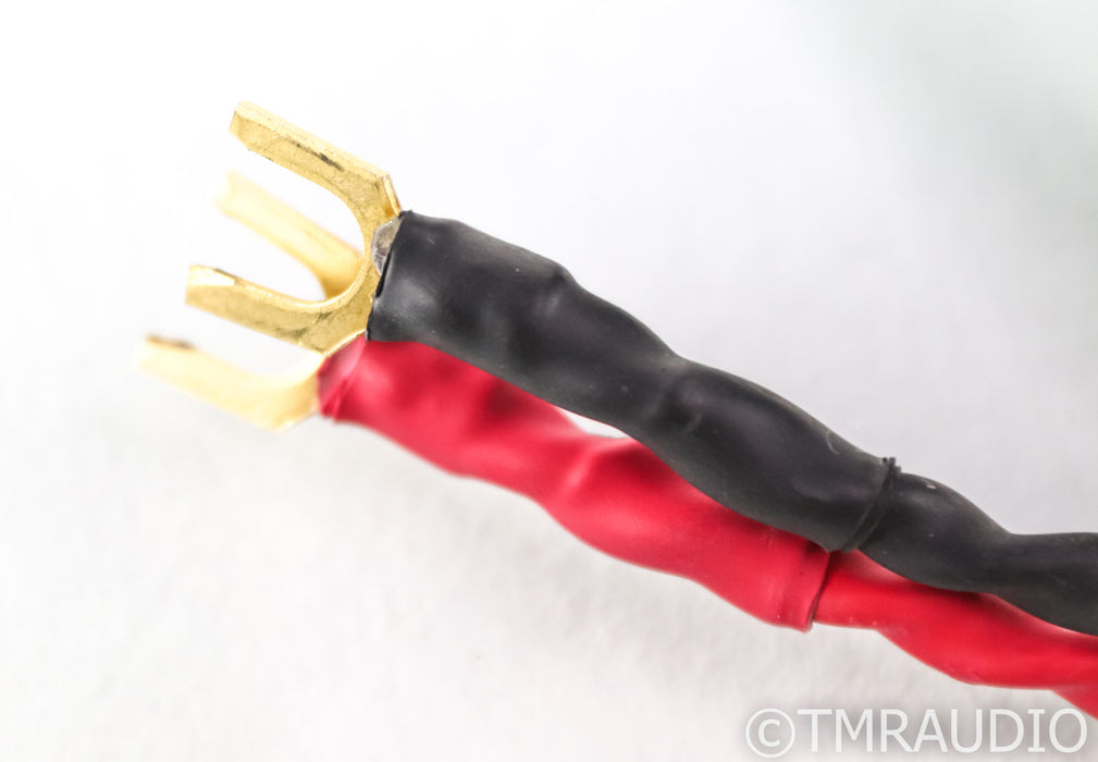 AudioQuest Type 4 Speaker Cables; 12ft Pair