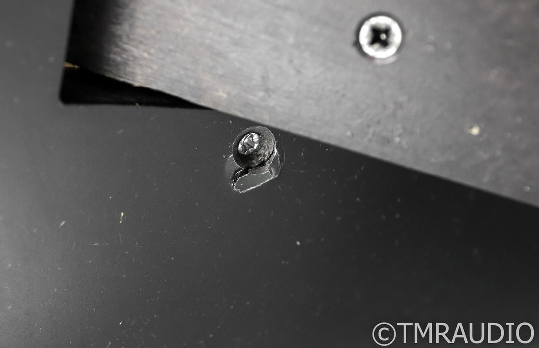 PureAudioProject Horn1 Midrange Assembly
