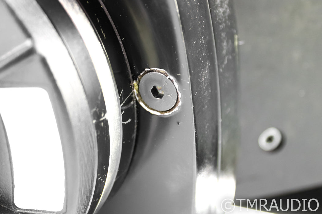 PureAudioProject Horn1 Midrange Assembly