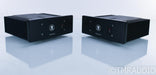 Monarchy Audio SE-100 Delux MKII Mono Power Amplifier