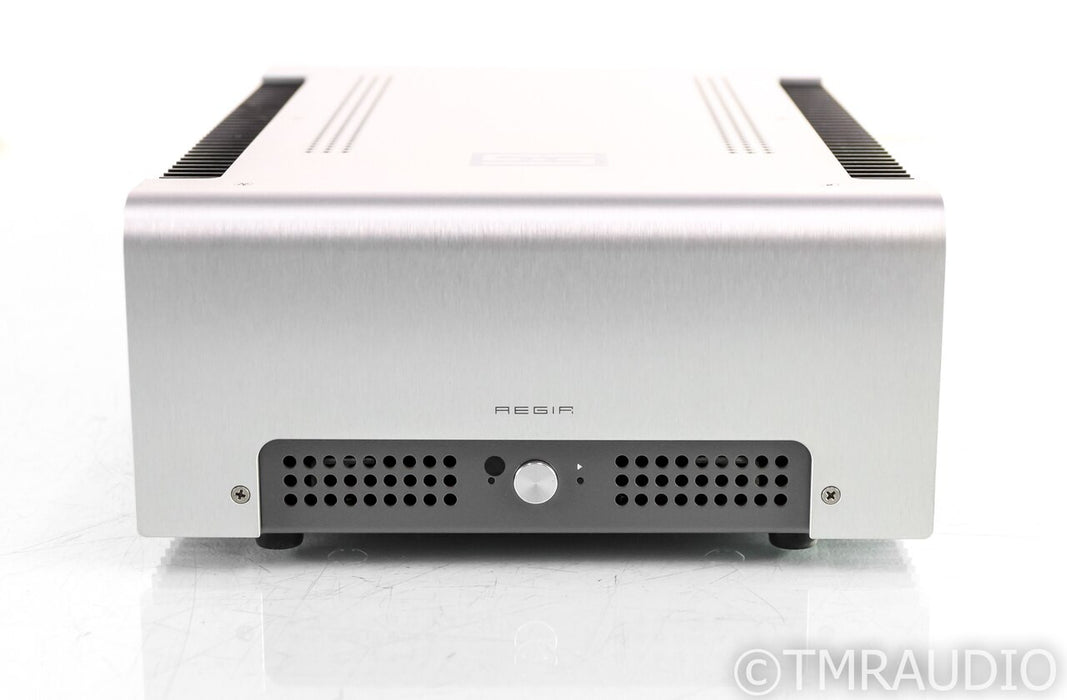 Schiit Aegir Stereo / Mono Power Amplifier; Single; Continuity