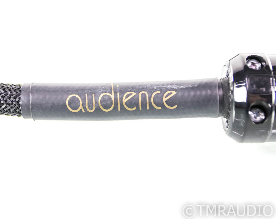 Audience Power Chord E Power Cable; 3ft AC Cord