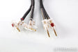 Kimber Kable Bifocal-X Biwire Speaker Cables; 10ft Pair