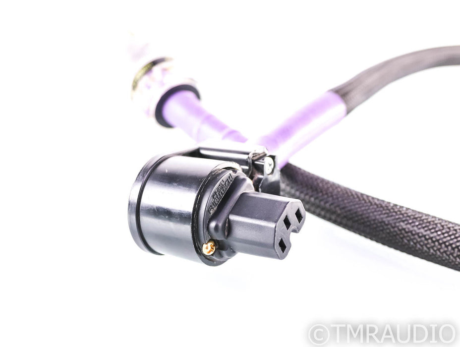 Revelation Audio Labs Precept II CryoSilver Reference Power Cable; 4ft AC Cord
