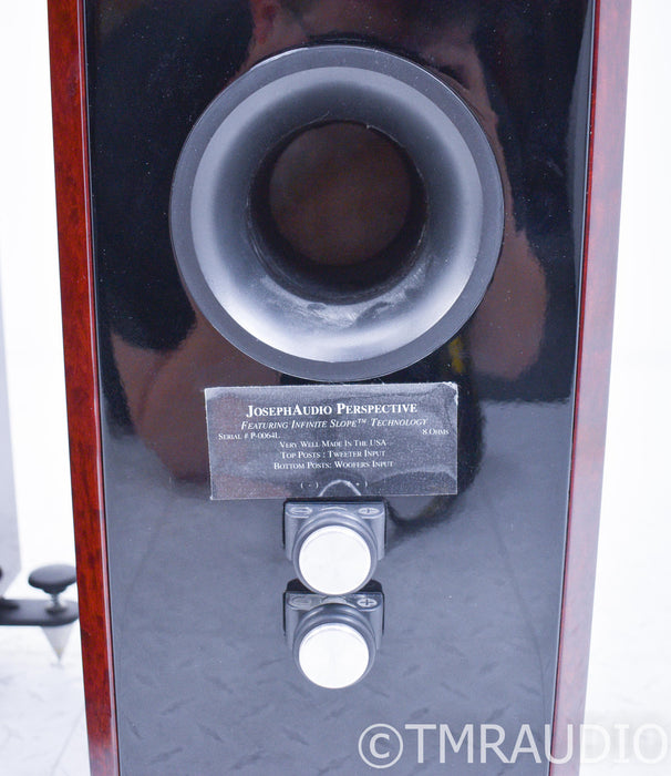 Joseph Audio Perspective Floorstanding Speakers