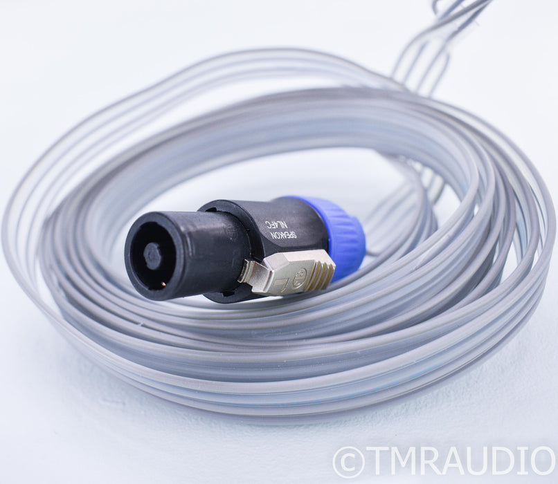 DNM Solid Core Precision 2 Bi-Wire Speaker Cable; 10ft Pair