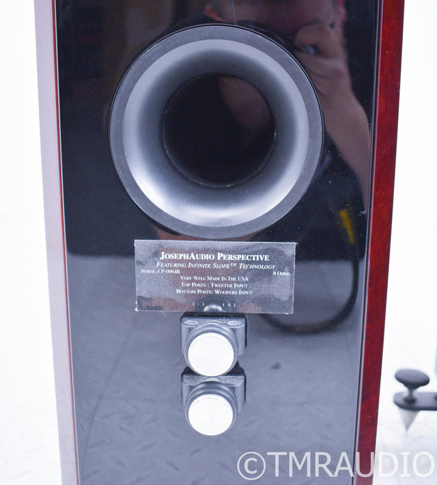 Joseph Audio Perspective Floorstanding Speakers