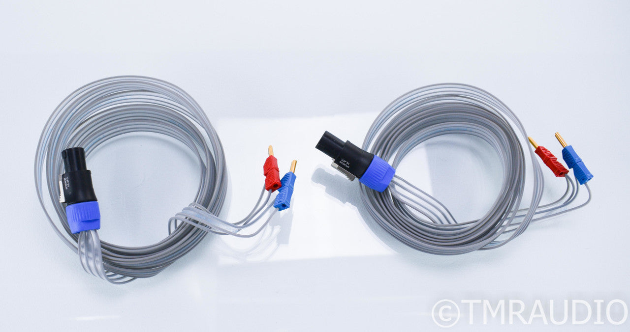 DNM Solid Core Precision 2 Bi-Wire Speaker Cable; 10ft Pair
