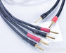 Transparent Audio The Wave Bi-Wire Speaker Cables