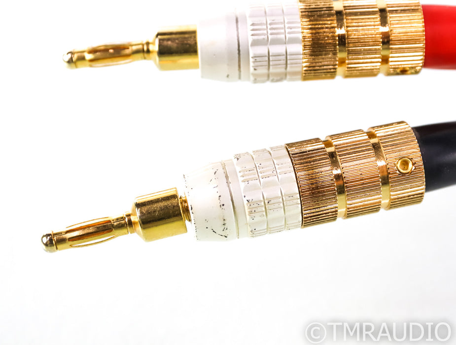 PS Audio xStream Statement Speaker Cables; 3m Pair; Spade & Banana Terminations