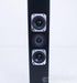 Totem Tribe III (3) On-Wall / Flat Panel Speakers
