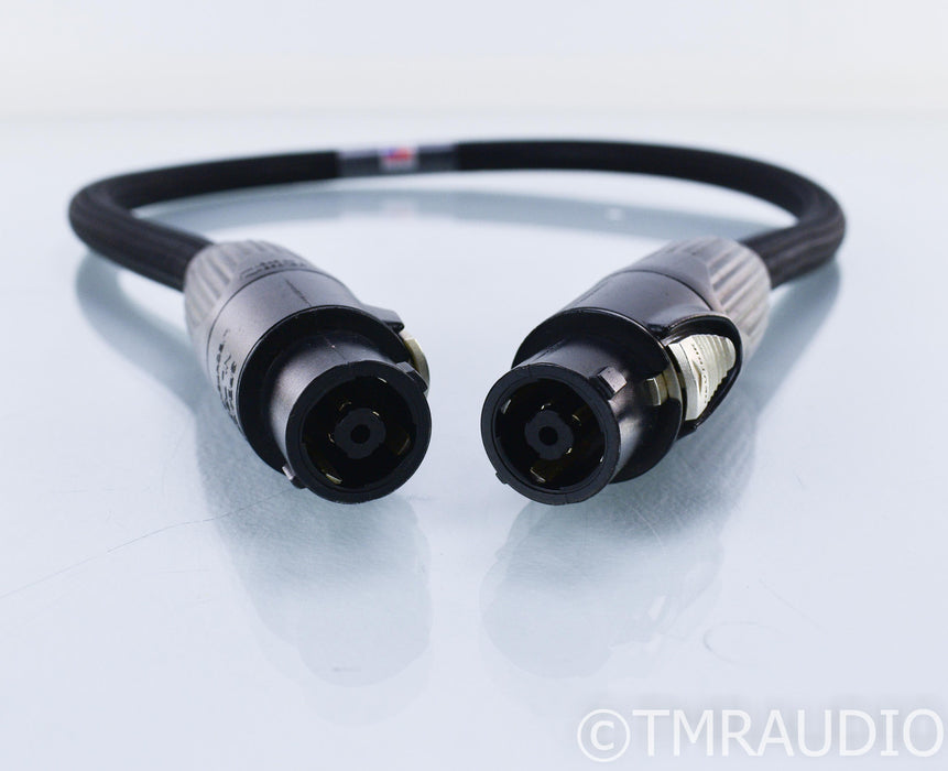 Revelation Audio Labs Passage CryoSilver Reference Power Umbilical Cord; 1m Pair; Speakon; Pass Labs XS