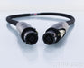 Revelation Audio Labs Passage CryoSilver Reference Power Umbilical Cord; 1m Pair; Speakon; Pass Labs XS