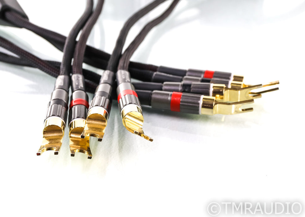 MIT Oracle Matrix HD 90 Rev.1 Speaker Cables; 10ft Pair