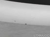 Rogue Zeus Stereo Tube Power Amplifier