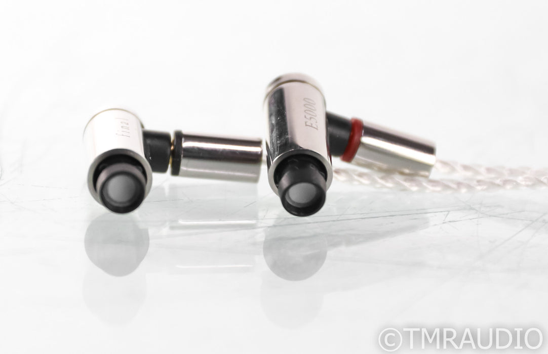 Final E5000 In Ear Monitor Earbuds; E-5000; IEM