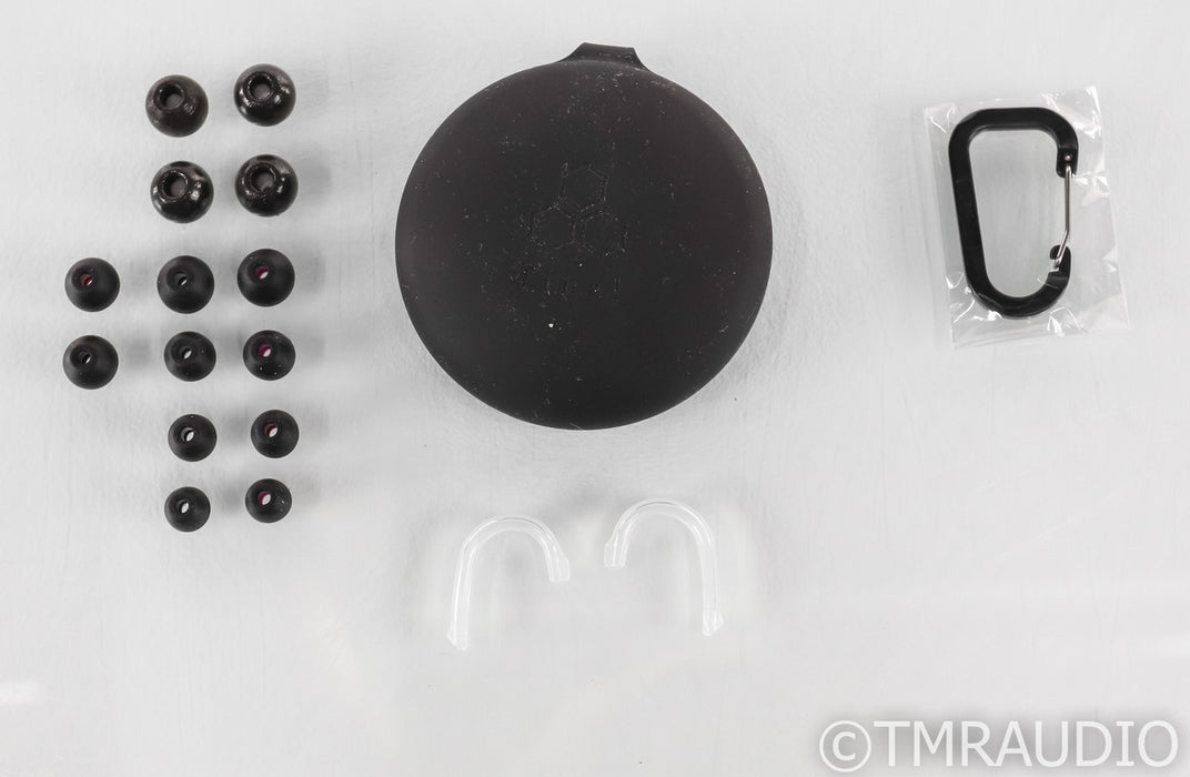 Final E5000 In Ear Monitor Earbuds; E-5000; IEM