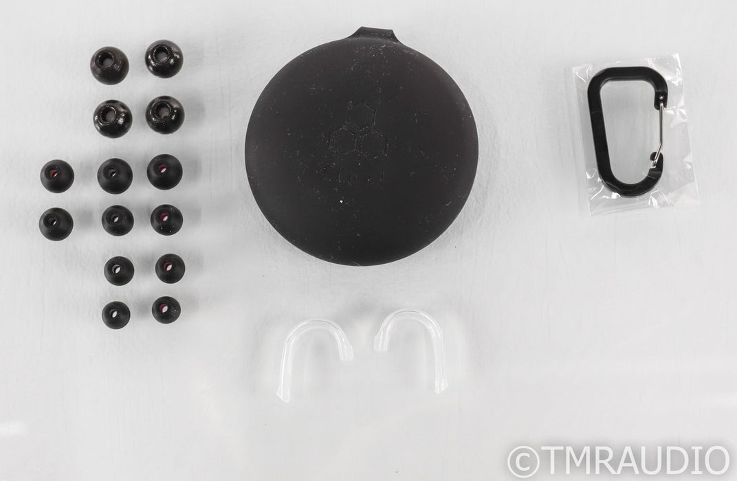 Final E5000 In Ear Monitor Earbuds; E-5000; IEM