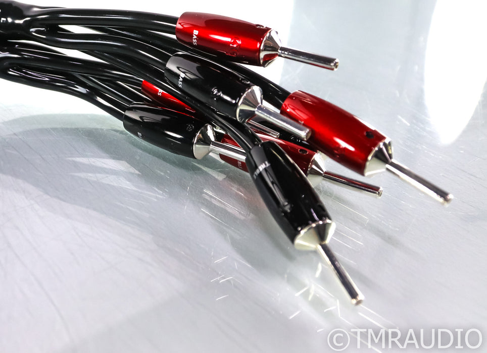 AudioQuest Rocket 88 Bi-Wire Speaker Cables; 8ft Pair; 72v DBS