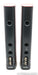 PSB Speakers Synchrony Two Floorstanding Speakers