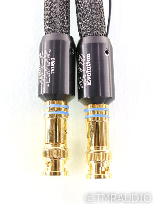 Tara Labs RSC Air Evolution Digital 75 BNC Cable; .6m Digital Interconnect