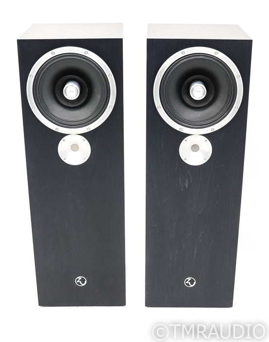 Zu Audio Omen Dirty Weekend Mk II Floorstanding Speakers