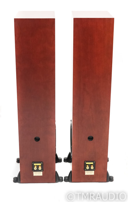 Coincident Speaker Technology Partial Eclipse 2 Floorstanding Speakers