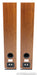 Dynaudio Focus 340 Floorstanding Speakers
