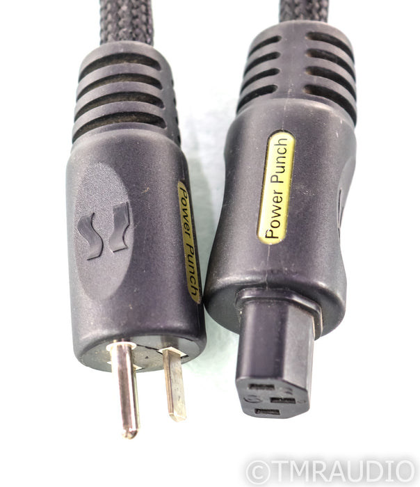 PS Audio Power Punch Power Cable; 2m AC Cord