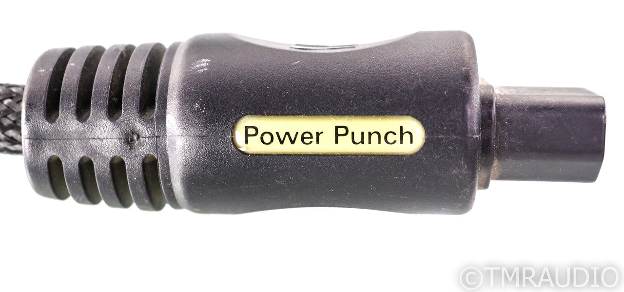 PS Audio Power Punch Power Cable; 2m AC Cord