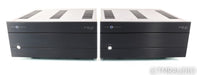 Cary Audio SA-500.1 ES Mono Power Amplifier