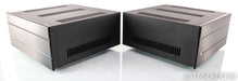Cary Audio SA-500.1 ES Mono Power Amplifier