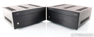 Cary Audio SA-500.1 ES Mono Power Amplifier