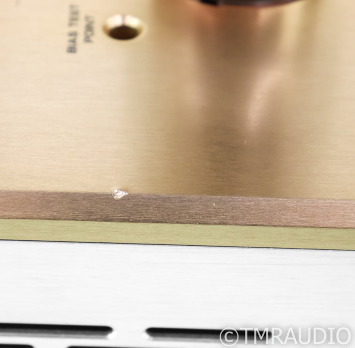 Triangle Art Reference Mono Tube Power Amplifier