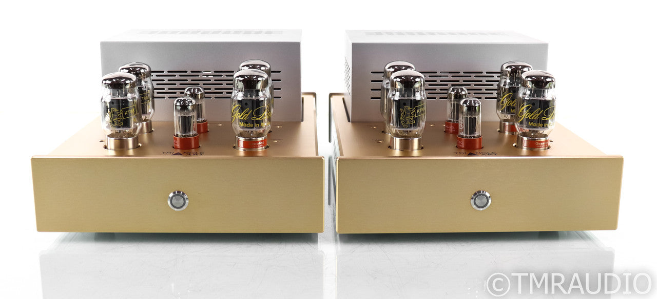 Triangle Art Reference Mono Tube Power Amplifier