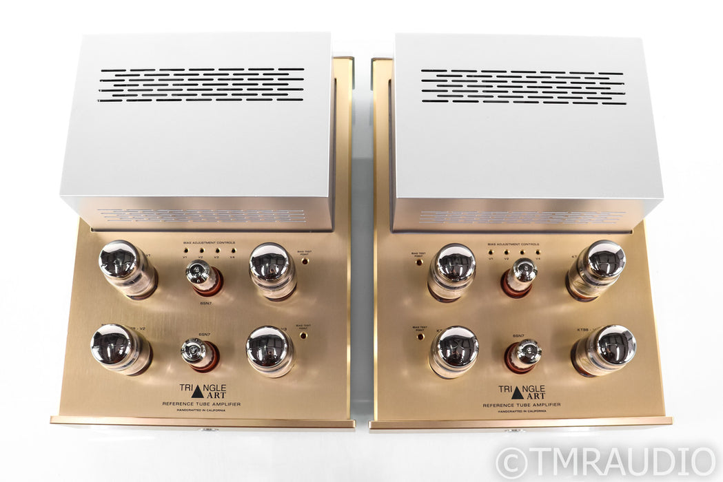 Triangle Art Reference Mono Tube Power Amplifier
