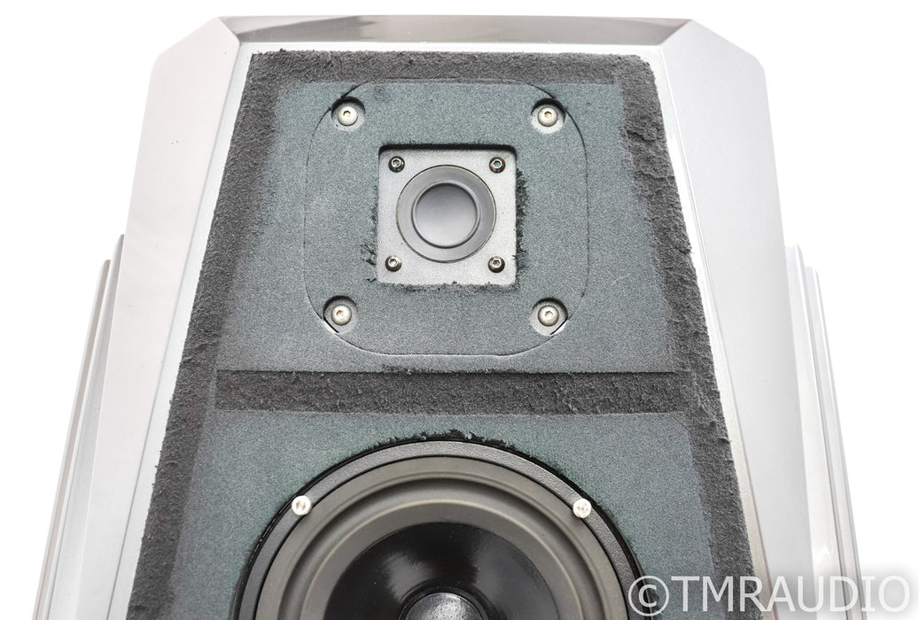 Wilson Audio WITT Series II Floorstanding Speakers