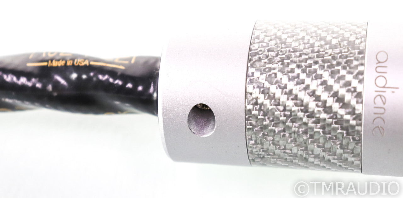 Audience Au24-SEi PowerChord Power Cable; 2m AC Cord