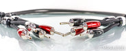 AudioQuest William Tell Silver Speaker Cables; 8ft Pair