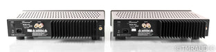 Herron Audio M2 Mono Power Amplifier