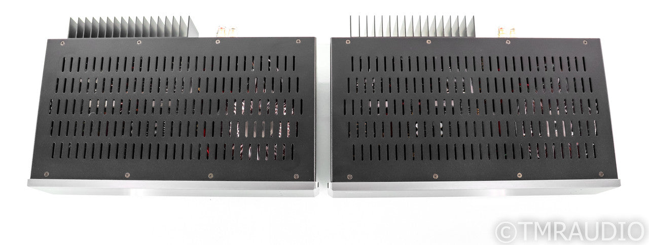 Herron Audio M2 Mono Power Amplifier