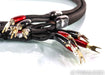AudioQuest Oak Bi-Wire Speaker Cables; 8ft Pair; 72v DBS