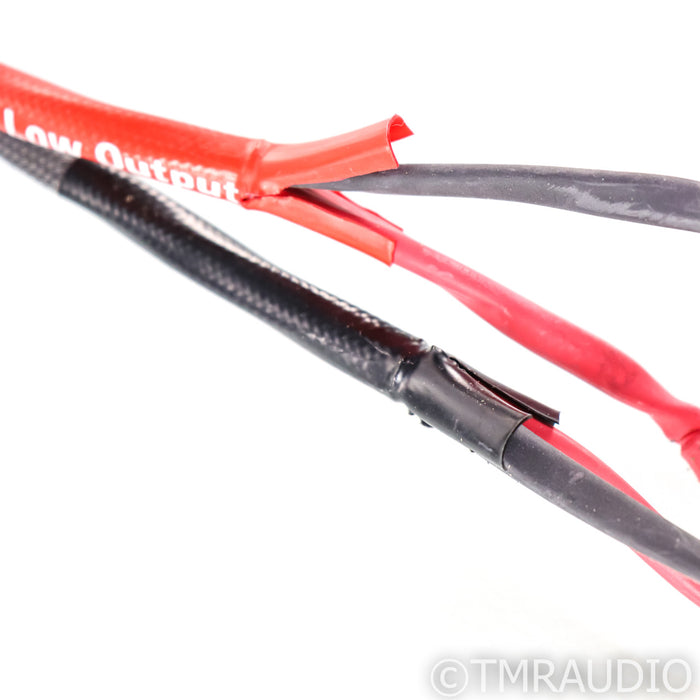 MIT AVt3 Bi-Wire Speaker Cables; 20ft Pair