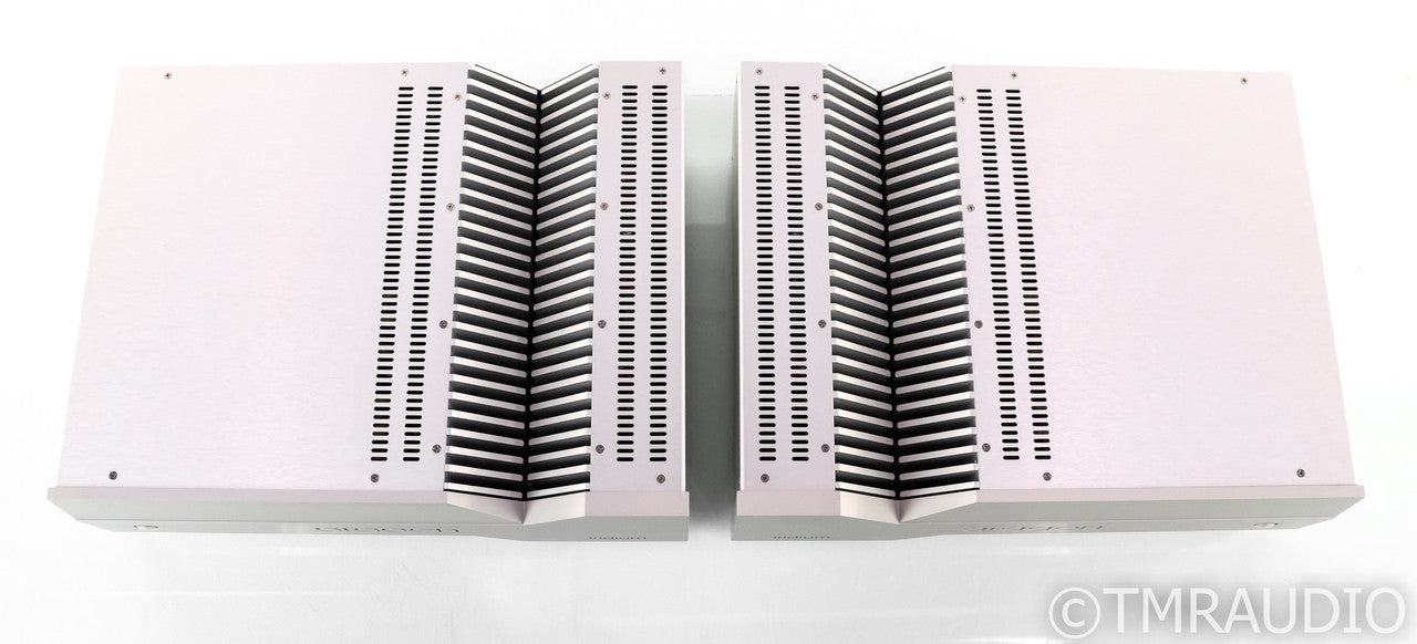 Aragon Iridium Mono Power Amplifier