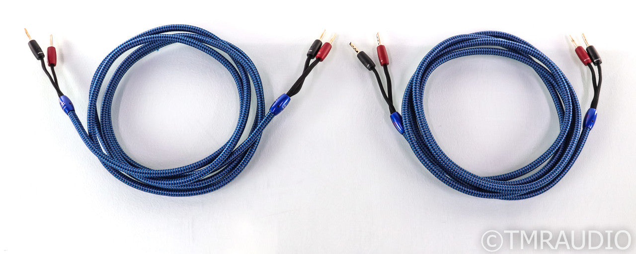 AudioQuest Type 4 Speaker Cables; 10ft Pair