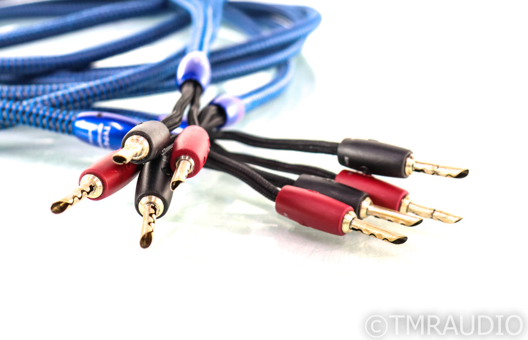 AudioQuest Type 4 Speaker Cables; 10ft Pair